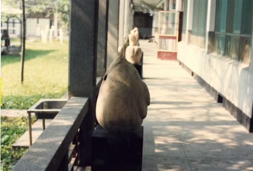 國立藝術學院蘆洲校區 走廊上的雕塑展